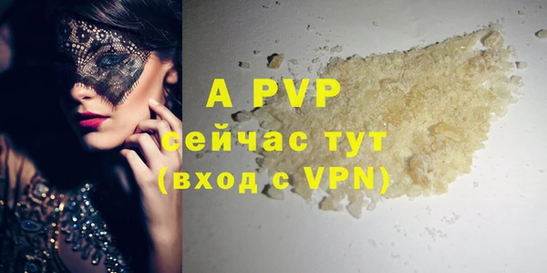 твердый Сосновый Бор