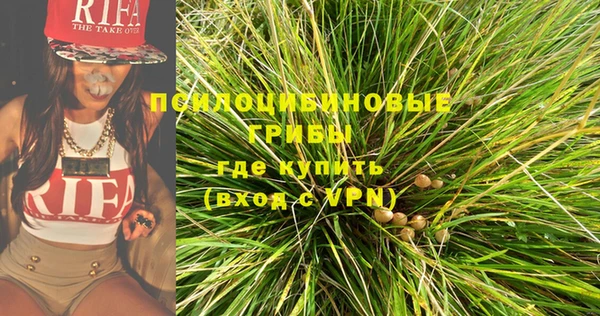 твердый Сосновый Бор