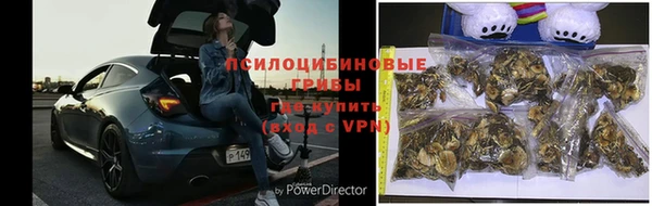 гидропоника Снежногорск