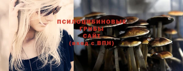 молекула духа Слюдянка