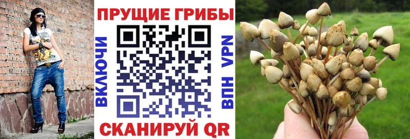 Псилоцибиновые грибы мухоморы  Эртиль 